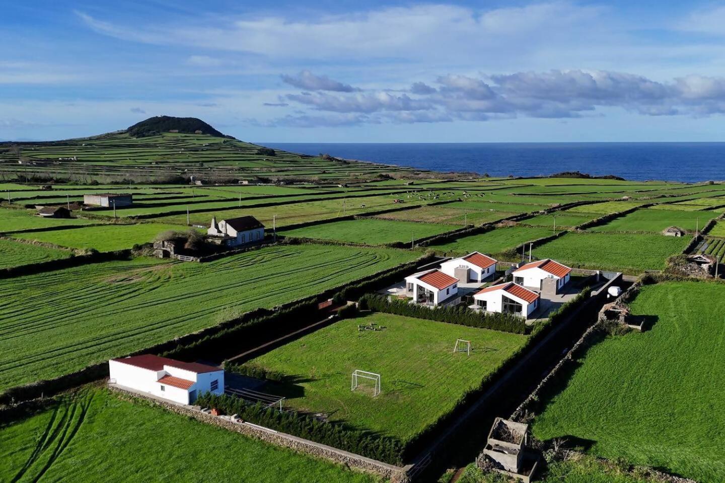 Wine House By Ponta Negra Azores Altares Extérieur photo