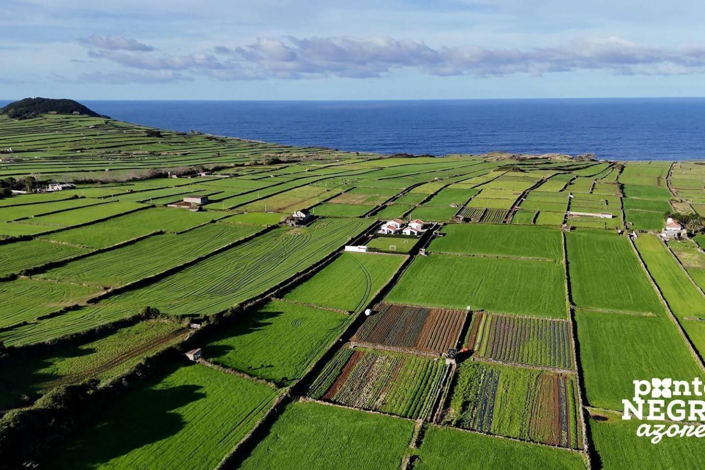 Wine House By Ponta Negra Azores Altares Extérieur photo